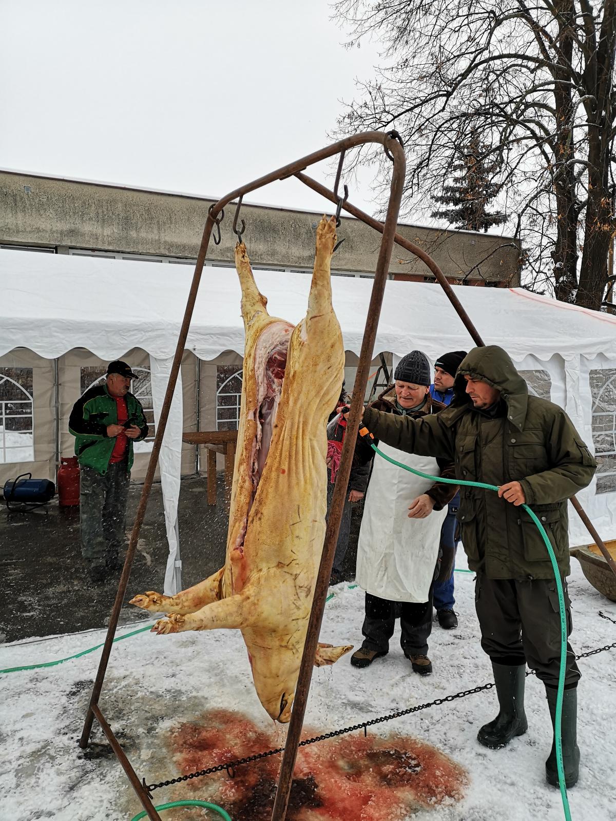 Fotogaléria 5.obecná zabíjačka 2019 (24) 5.obecná zabíjačka 2019